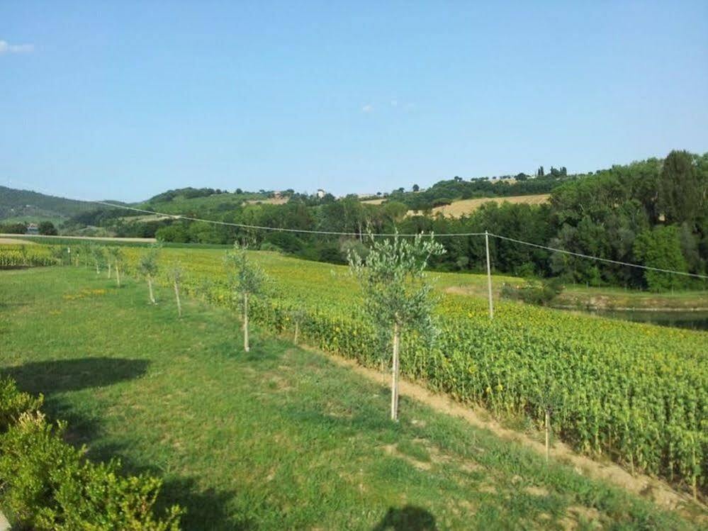 Agriturismo La Collina Del Sole Coltavolino Bagian luar foto
